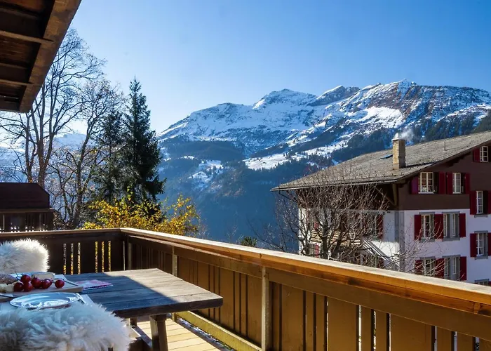 Schweizerhof 1 아파트 *