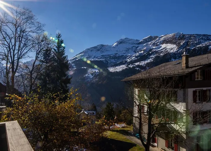 Schweizerhof 1 아파트 벤겐