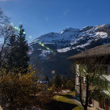 Schweizerhof 1 Daire Wengen