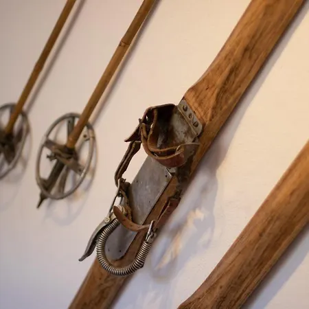 Daire Schweizerhof 1